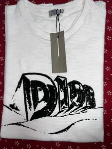 Dior ロゴ　tシャツ　23AW 393J696A0849 白 Tシャツ