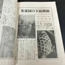 『 科学画報　昭和4年11月号　最新外科手術の驚異 』科学画報社　戦前の雑誌　レトロ_画像6