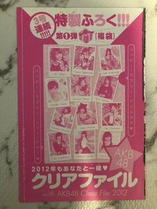 【新品】 AKB48 クリアファイル 前田敦子 渡辺麻友 大島優子 篠田麻里子 柏木由紀 板野友美 小嶋陽菜 指原莉乃 松井玲奈 付録 少年サンデー