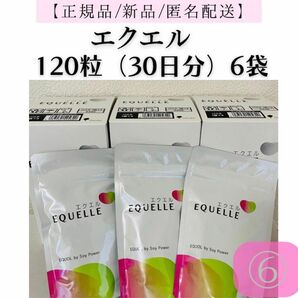 【正規品】大塚製薬 エクエル パウチ 120粒入り(約30日分)×6袋セット エクオール①