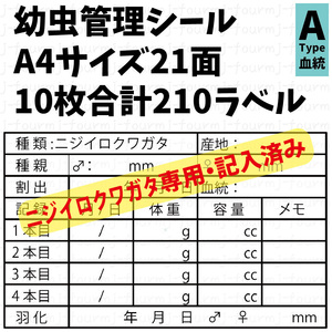 幼虫管理ラベルAシール 21面×10シート 合計210枚 ニジイロクワガタ専用 パプアキンクワガタ パプキン オウゴンオニクワガタ他変更可能