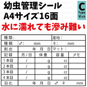 水に強く滲みにくい 幼虫管理ラベルCシール16面×5シート 計80枚 オオクワガタ ギラファノコギリ ババオウゴンオニ ヘラクレスオオカブト