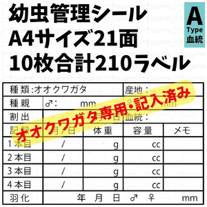 幼虫管理ラベルAシール 21面×10シート 合計210枚 オオクワガタ専用 オオクワガタ記入済み ヒラタ ノコギリ スジ ミヤマクワガタ他変更可能