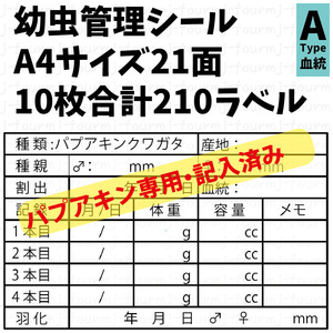 幼虫管理ラベルAシール 21面×10シート 合計210枚 パプアキン専用 パプアキンクワガタ ニジイロクワガタ ババオウゴンオニ他変更可能