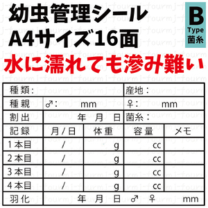 水に強く滲みにくい 幼虫管理ラベルBシール16面×10シート 計160枚 オオクワガタ ギラファノコギリ ババオウゴンオニ ヘラクレスオオカブト