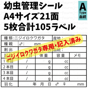 幼虫管理ラベルAシール 21面×5シート 合計105枚 ニジイロクワガタ専用 パプアキンクワガタ パプキン オウゴンオニクワガタ他変更可能