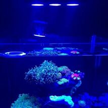 METIS LED 水槽ライト アクアリウムライト 海水魚 サンゴ 海水槽 照明 調光 LED3個 高光度 長寿命 強力 水族館 組立簡単 uz-710_画像2