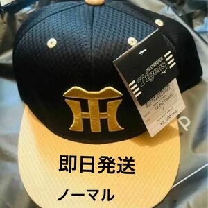 【ラスト1点】阪神タイガース レプリカ チャンピオンキャップ