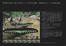 オリンパス OLYMPUS OM-D/E-M1 MarkII の 総合カタログ/2016.11(未使用美品)_画像4