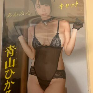 青山ひかる　あおみんキャット　DVD