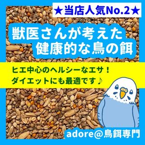 【2番人気商品】獣医さんが考えた健康的な鳥の餌 800ｇ