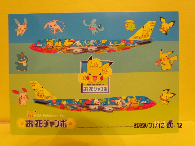 2025年最新】Yahoo!オークション -お花ジャンボの中古品・新品 2025年最新】Yahoo!オークション -お花ジャンボの中古品・新品
