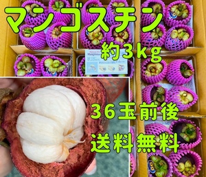 マンゴスチン 果物の女王 約3kg 36玉前後 タイ産