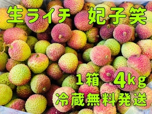 5月28日入荷予定 ライチ 妃子笑 ヒシショウ 4kg レイシ 生ライチ 冷蔵無料発送