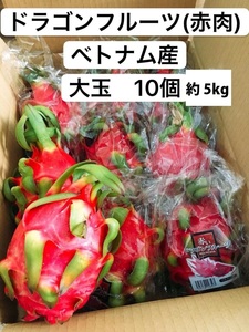 ドラゴンフルーツ 赤肉 ベトナム産 大玉 10個 約5kg 冷蔵発送