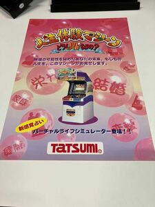 人生体験マシーン　どうし手相なるの？　手相占い　アーケード　チラシ　カタログ　フライヤー　パンフレット　正規品　希少　非売品　販促