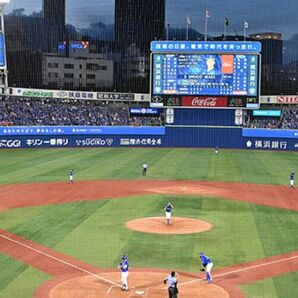 ハマスタ　チケット6月9日(日)14時試合開始