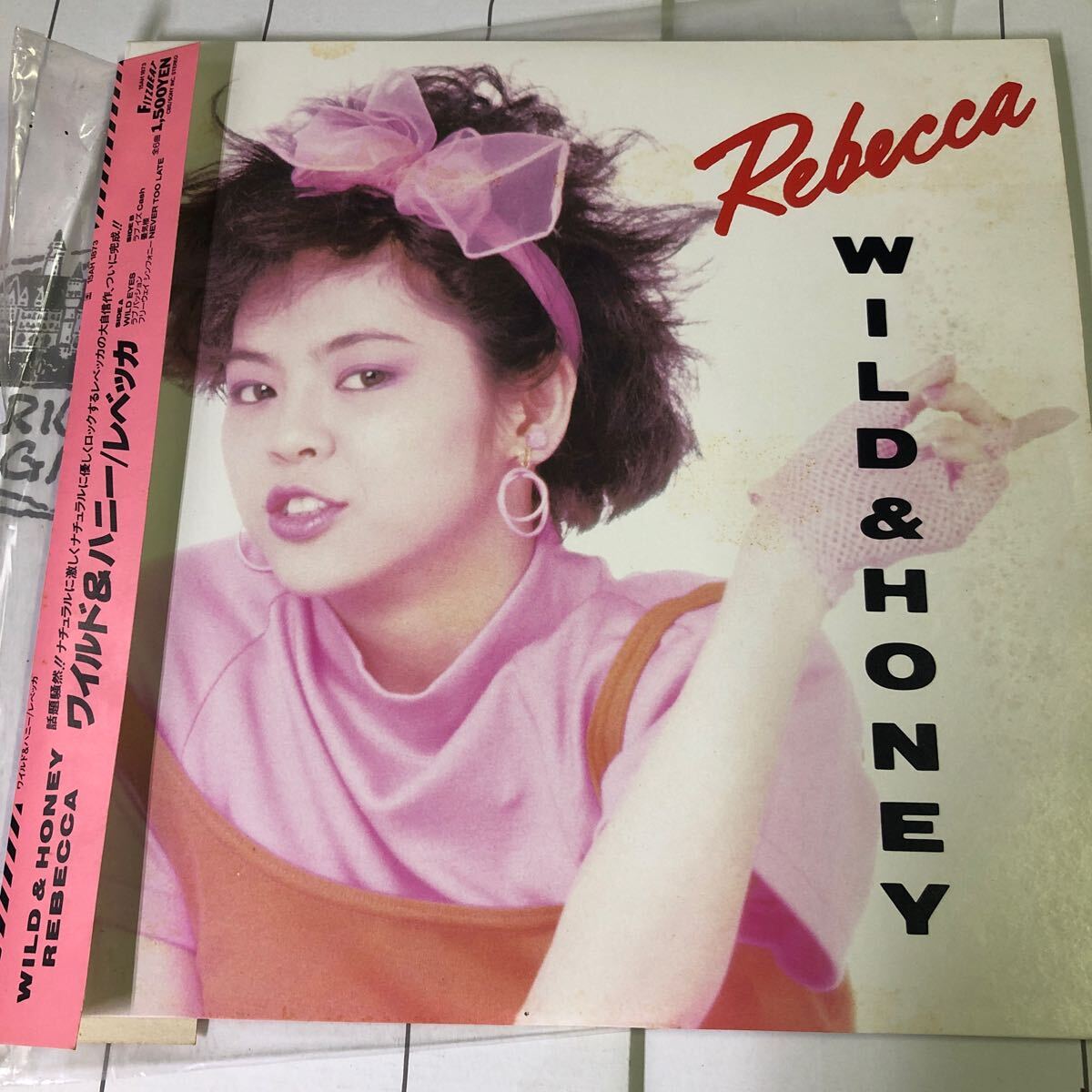 REBECCA WILD&HONEY ポスター 限定値下げ 2025年最新】Yahoo!オークション -wild honey(レベッカ)の中古品