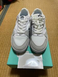 ナイキ NIKE SB アリウープ 27cm