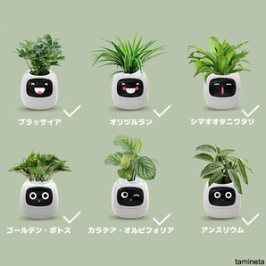 観葉植物を枯らさずにペットのような存在に スマート搭載 植物鉢 AIペット 小型で軽量 贈り物としてもおすすめ 暮らしのなかでの癒しグッズ