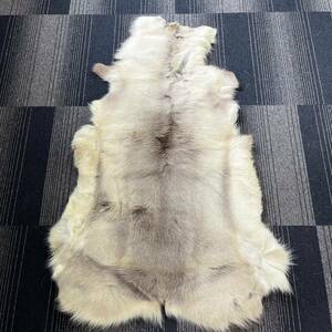 【TC0518②】オオカミ? 狼? ラグ ラグマット 絨毯 カーペット 敷物 毛皮 マット 