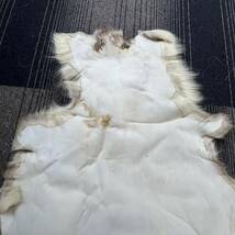 【TC0518②】オオカミ? 狼? ラグ ラグマット 絨毯 カーペット 敷物 毛皮 マット _画像9