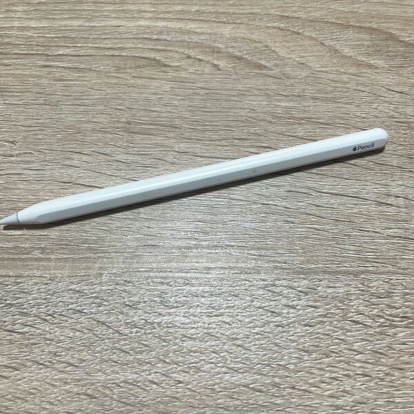 【ジャンク品】Apple Pencil アップルペンシル 第2世代