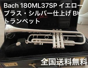 トランペット バック BACH TRP 180ML 37SP 選定品 イエローブラス シルバー仕上げ 専用ハードケース付 送料無料