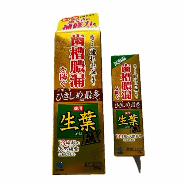 生葉薬用ハミガキＥＸ１００ｇ　試供品１０ｇ