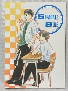 * Slam Dunk журнал узкого круга литераторов SEPARATE BLUE D*T минут . три . три .× дерево .1995/32p/B5/ манга 