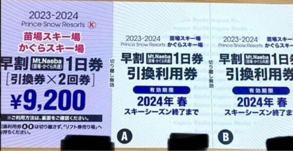 かぐらスキー場１日券引換2回券