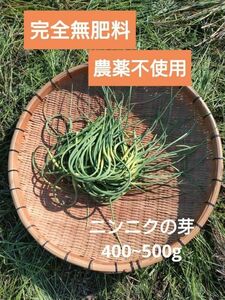 ニンニクの芽400~500g 