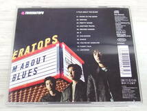 CD / A FILM ABOUT THE BLUES / TRICERATOPS /『D40』/ 中古_画像2