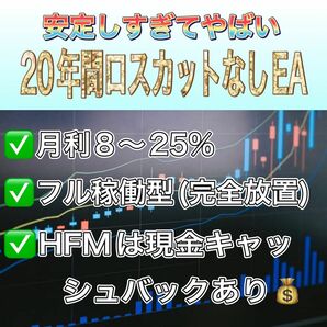 【20年間ロスカットなしド安定型EA】Ruby・Sapphire FX 自動売買 EA 安定