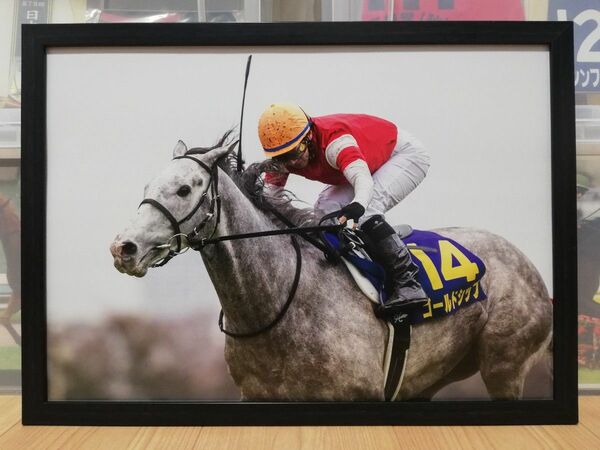 競馬.ゴールドシップ.パネル.勝馬.皐月賞