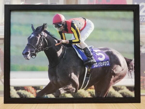 競馬.クロノジェネシス.パネル.勝馬.秋華賞