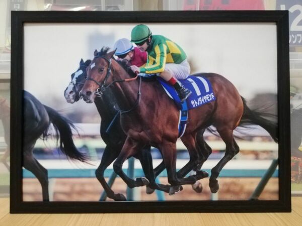 競馬.サトノダイヤモンド.パネル.勝馬.有馬記念