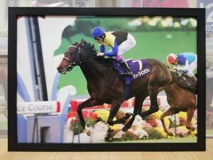 競馬.ディープインパクト.パネル.勝馬.菊花賞