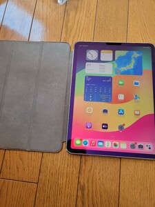 iPad pro 11インチ　256GB 第１世代