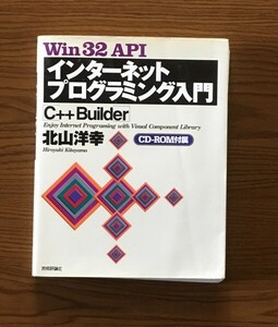 Win32APIインターネットプログラミング入門: C++Builder　-北山 洋幸 (著)