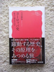 ヨーロッパ史 拡大と統合の力学 大月康弘 第1刷