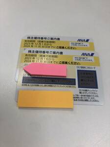 全日空 ANA 株主優待券 2枚　有効期限2024年11月30日