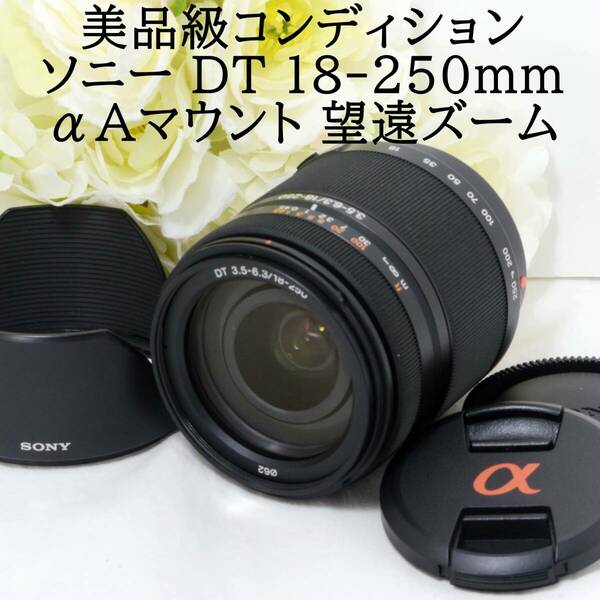 ★美品級★SONY ソニー DT 18-250mm F3.5-6.3 αAマウント用 望遠ズームレンズ 初心者 おすすめ