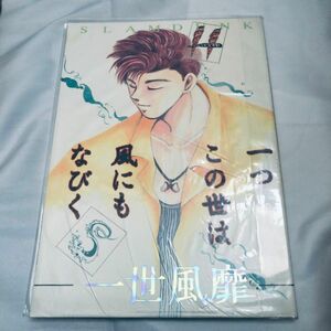 スラムダンク 一般同人誌 一世風靡 なるしまゆり 矢神しいの 水戸洋平 桜木花道