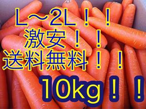 人参 L〜2L 激安 送料無料 10kg お買い得 人参 国産 美味しいにんじん 増量サービス中 無農薬