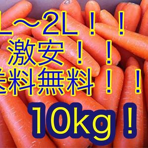 人参 L〜2L 激安 送料無料 10kg お買い得 人参 国産 無農薬 美味しいにんじん 増量サービス中