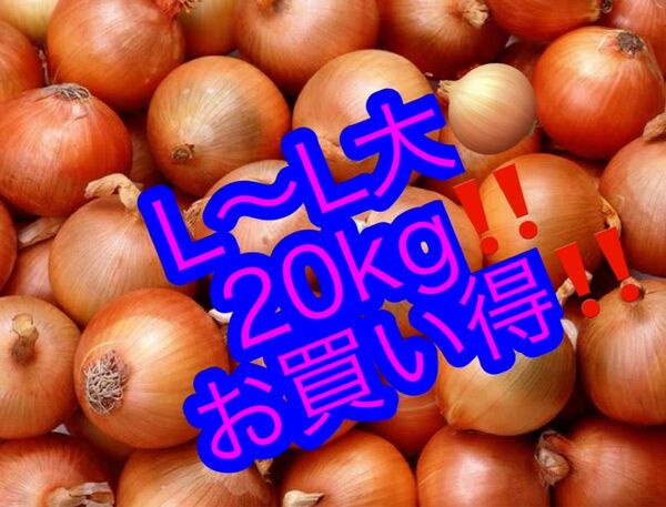 北海道産 玉葱 L L大 20kg 玉ねぎ タマネギ お買い得 新鮮 