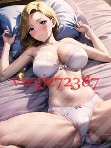 AN-807 1G ビアンカ ドラクエ5 ドラゴンクエスト 同人 ポスター A4サイズ アニメ 高品質 anime 美少女 巨乳 イラストアートポスター