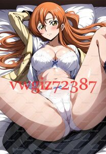 AN-3511 2G シャーリー・フェネット コードギアス 同人 A4サイズ ポスター アニメ 高品質 anime 美少女 巨乳 イラストアートポスター