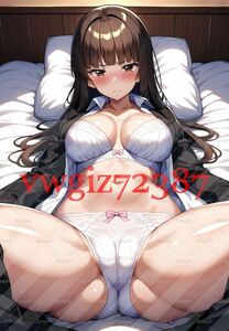 AN-3573 2G 西住しほ ガールズ＆パンツァー ガルパン 同人 A4 ポスター アニメ 高品質 anime 美少女 巨乳 イラストアートポスター